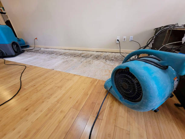 Professional Ceiling Water Damage Repair technician working in Hermitage, PA