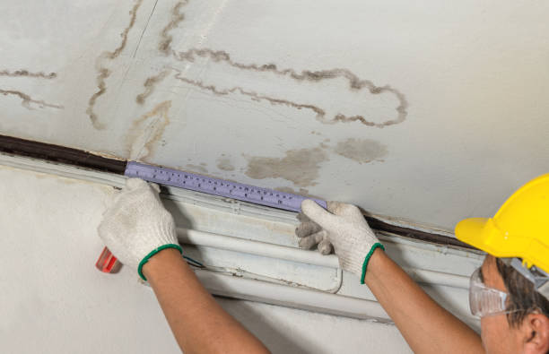 Affordable Ceiling Water Damage Repair solutions in Hermitage, PA